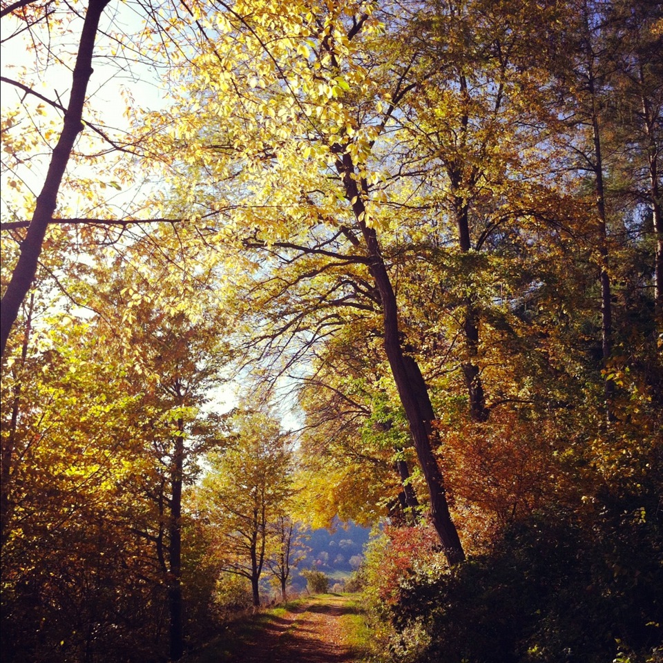 Rangenberg (c) Ina Eger